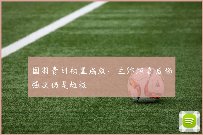 国羽青训初显成效，主帅坦言后场强攻仍是短板 - 搜狐体育