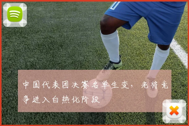 中国代表团决赛名单生变,老将竞争进入白热化阶段