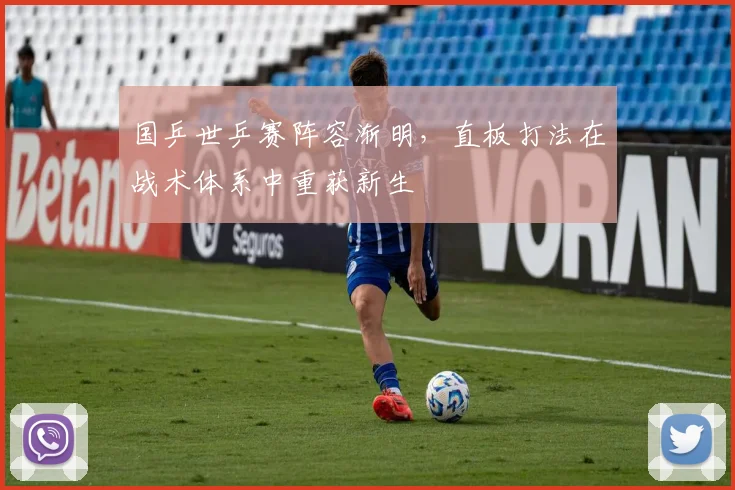 国乒世乒赛阵容渐明，直板打法在战术体系中重获新生 - 搜狐体育