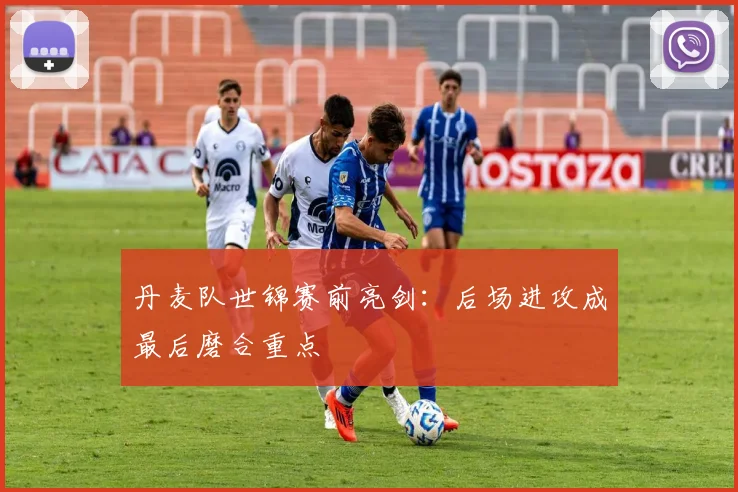丹麦队世锦赛前亮剑：后场进攻成最后磨合重点
