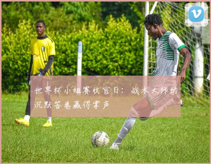 世界杯小组赛收官日:战术大师的沉默答卷赢得掌声