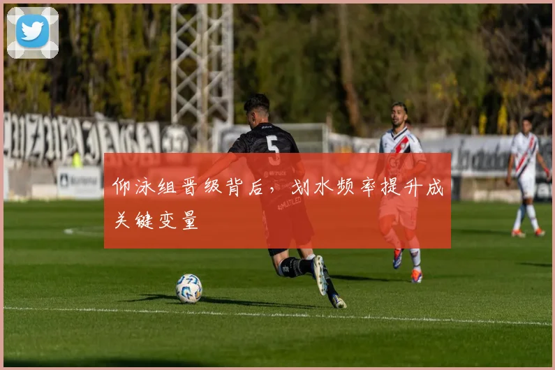 仰泳组晋级背后,划水频率提升成关键变量