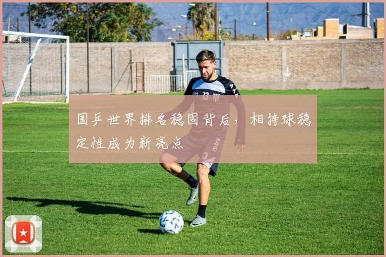 国乒世界排名稳固背后，相持球稳定性成为新亮点 - 搜狐体育