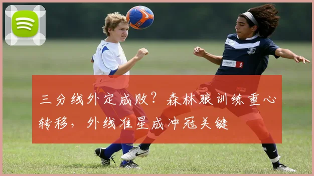 三分线外定成败?森林狼训练重心转移,外线准星成冲冠关键
