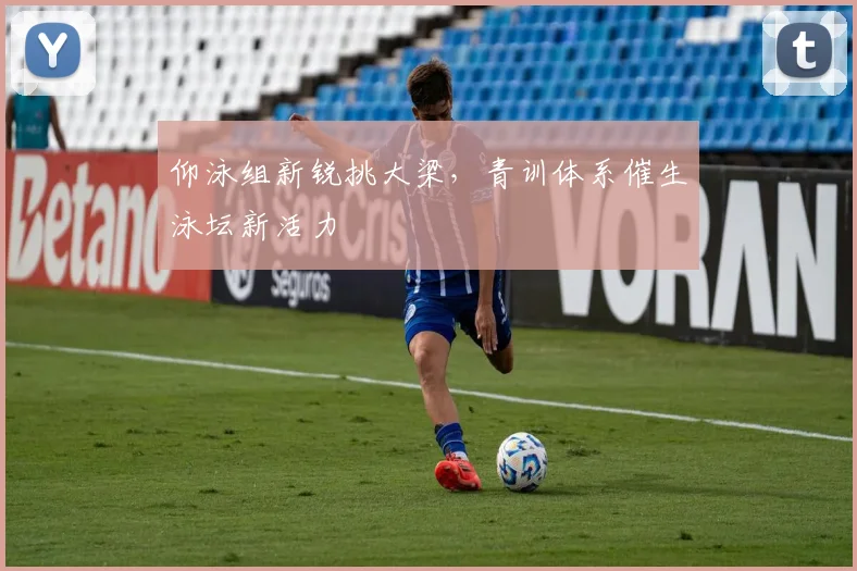 仰泳组新锐挑大梁，青训体系催生泳坛新活力
